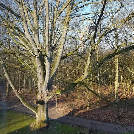 Bed & Breakfast Haus Heidetal