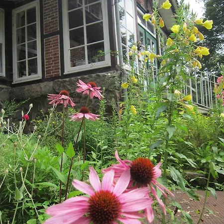 Bed & Breakfast Haus Heidetal Bispingen