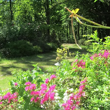 Haus Heidetal Bed and Breakfast