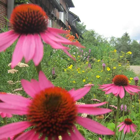 Haus Heidetal Bed and Breakfast