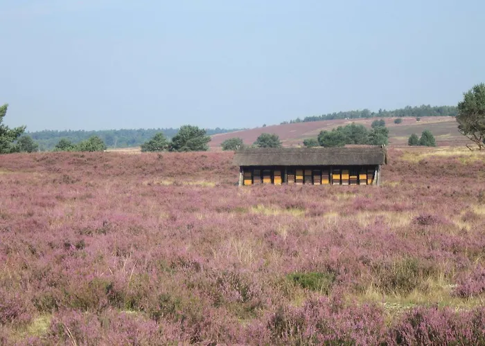 Panzió Haus Heidetal Bispingen